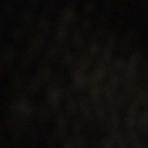 Meet your Posher, Amelia